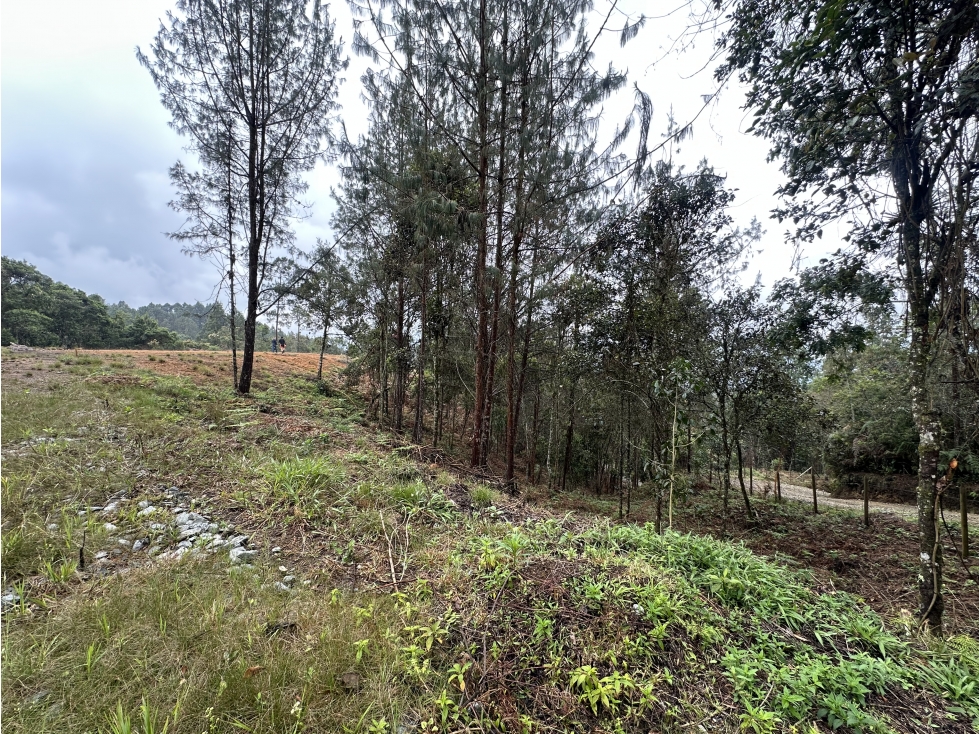 Venta De Lote En El Retiro