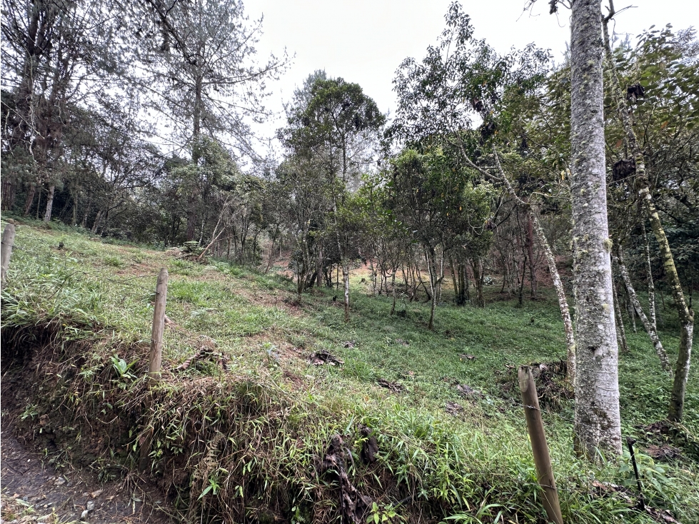 Venta De Lote En El Retiro