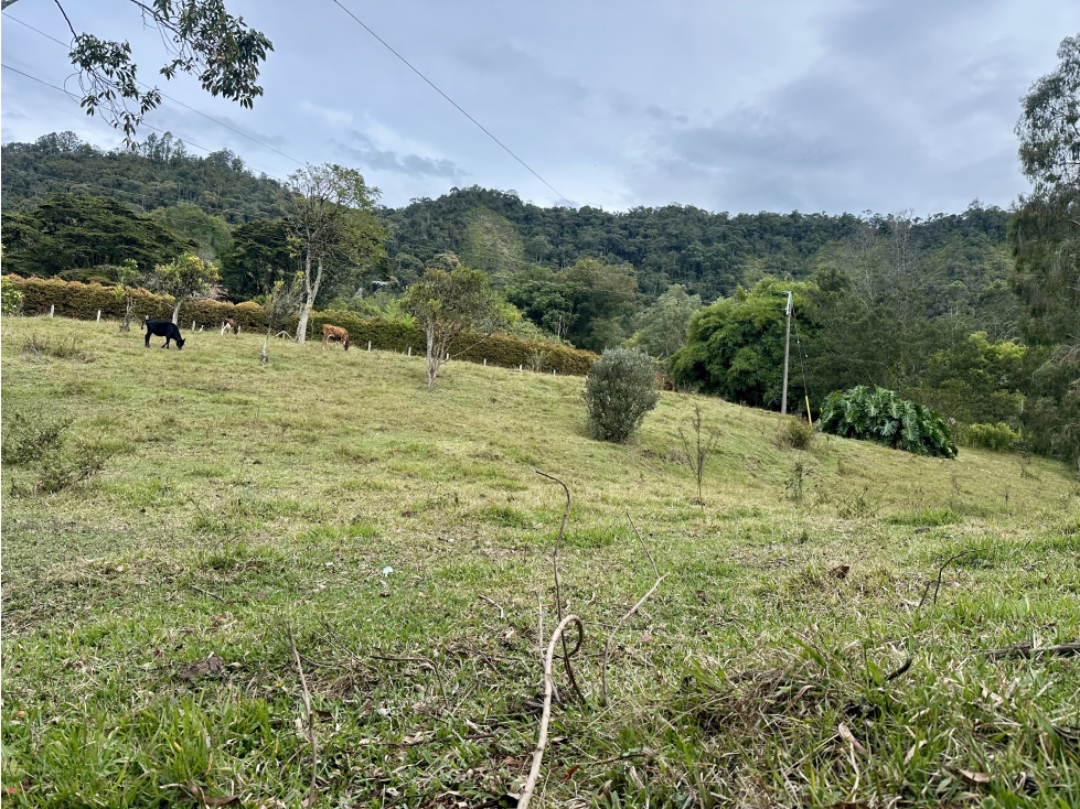 Venta de Lote En El Retiro Sector Eafit - 1