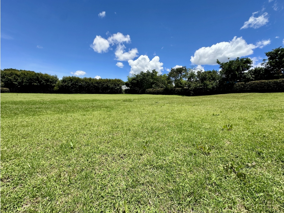 Venta de Lote En Rionegro Llanogrande — foto 6