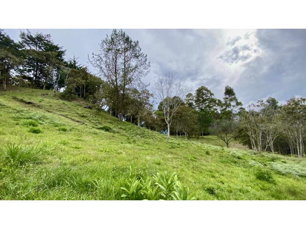 Venta de Lote En Rionegro Pontezuela — foto 3