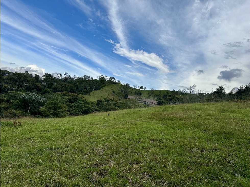 Venta de Lote En Rionegro Pontezuela - 2