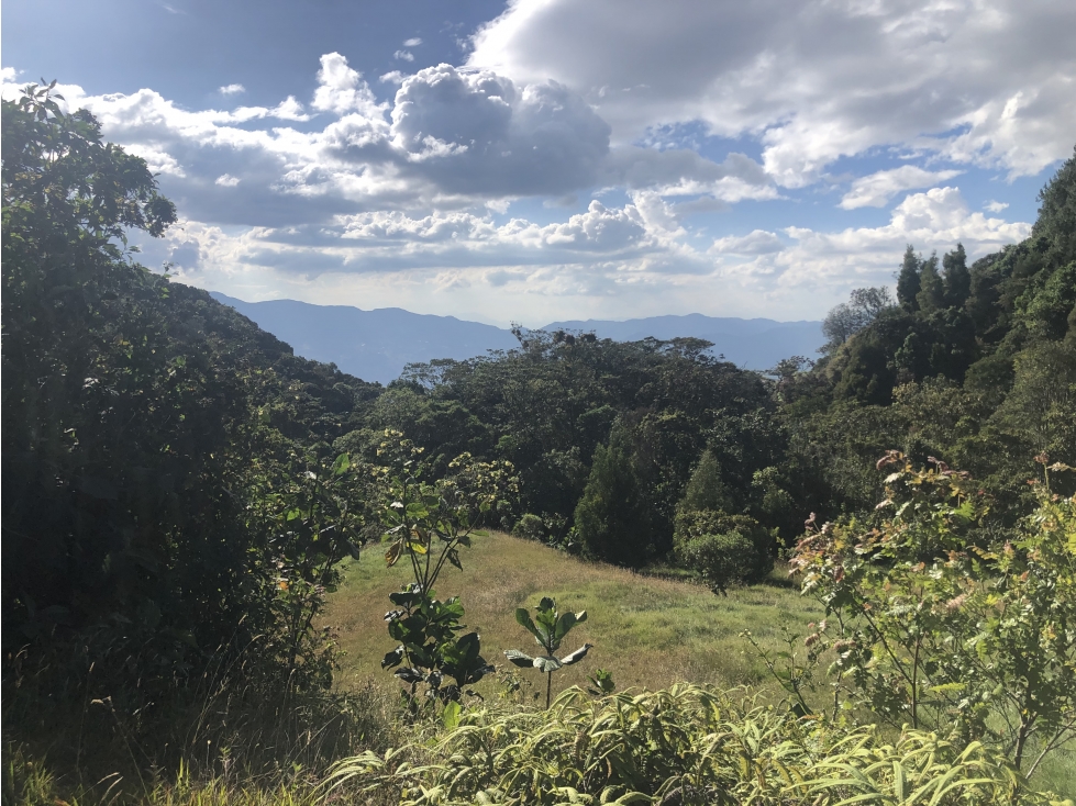 Venta de lote en el Alto de las Palmas Envigado - 2