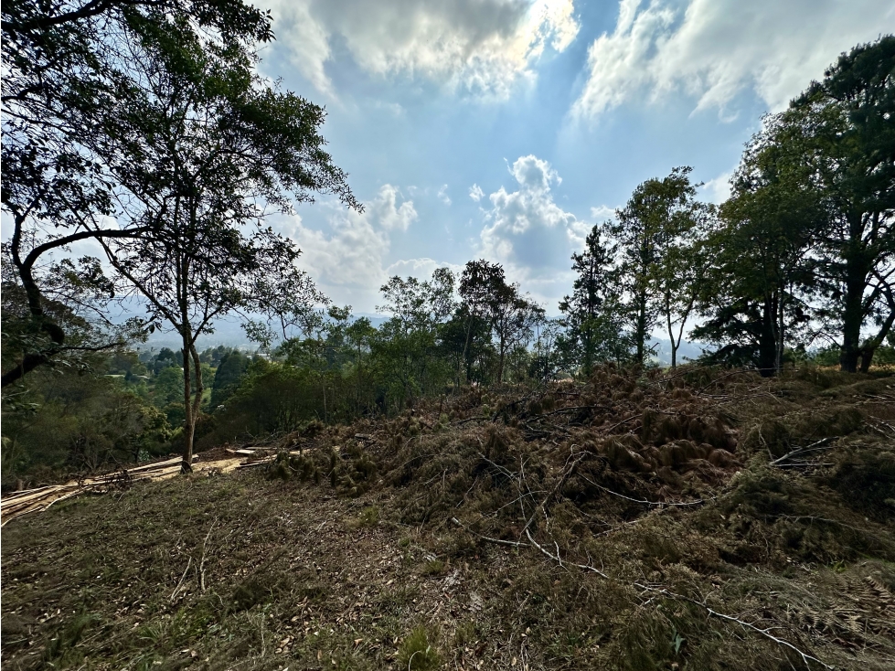 Venta de Lote en Las Palmas El Retiro — foto 2