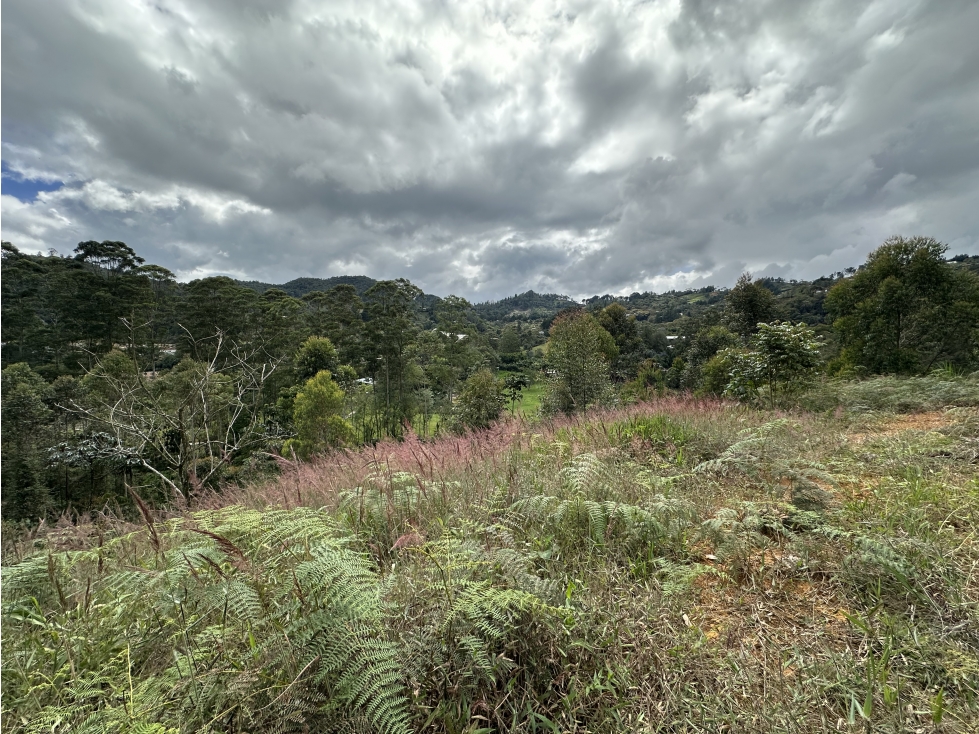 Venta De Lote En El Retiro Via Don Diego Llanogrande — foto 5