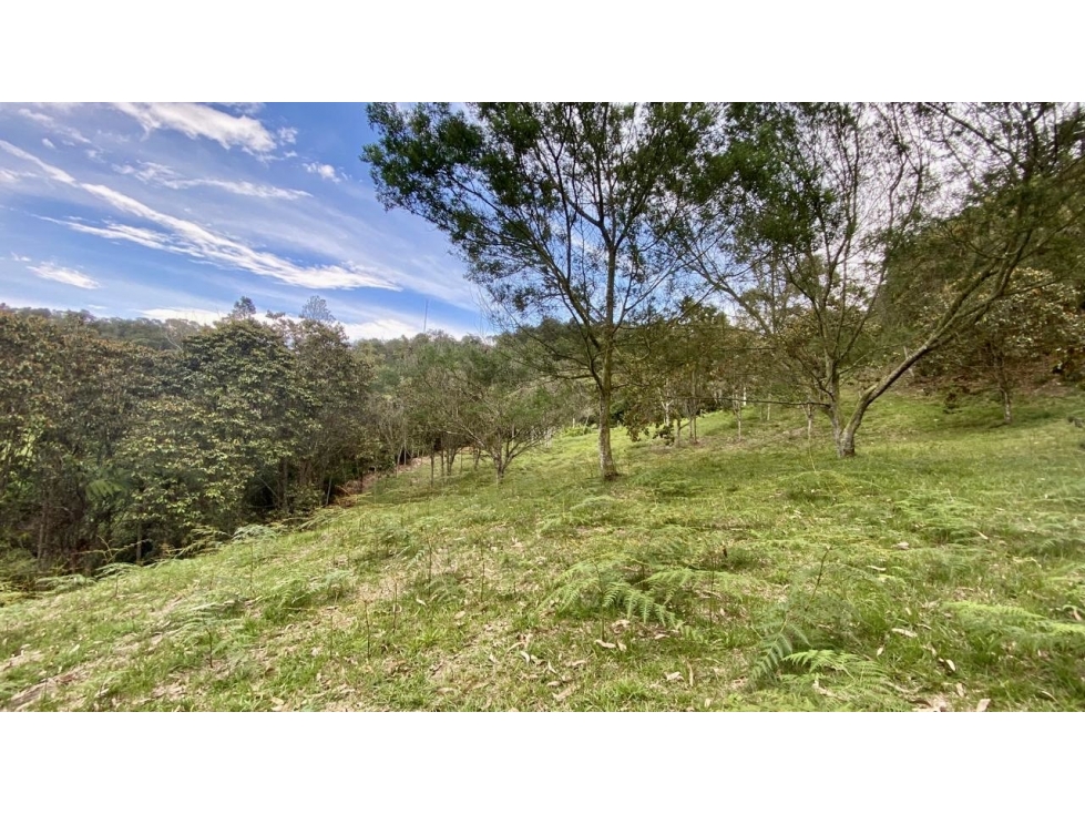Venta de Lote En Rionegro Pontezuela — foto 4