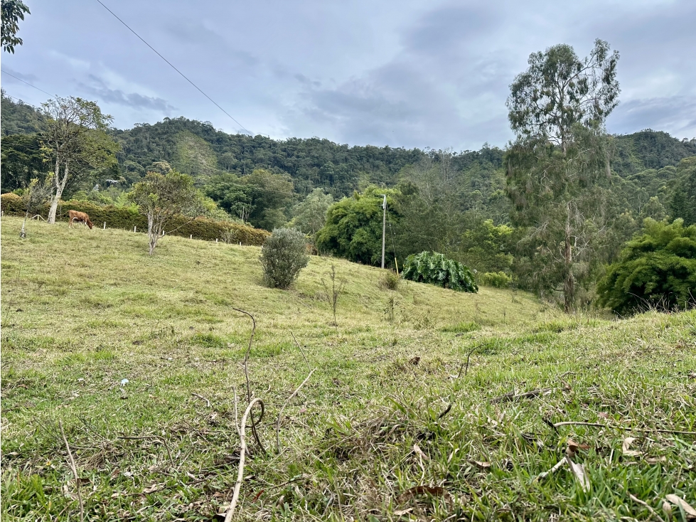 Venta de Lote En El Retiro Sector Eafit - 2