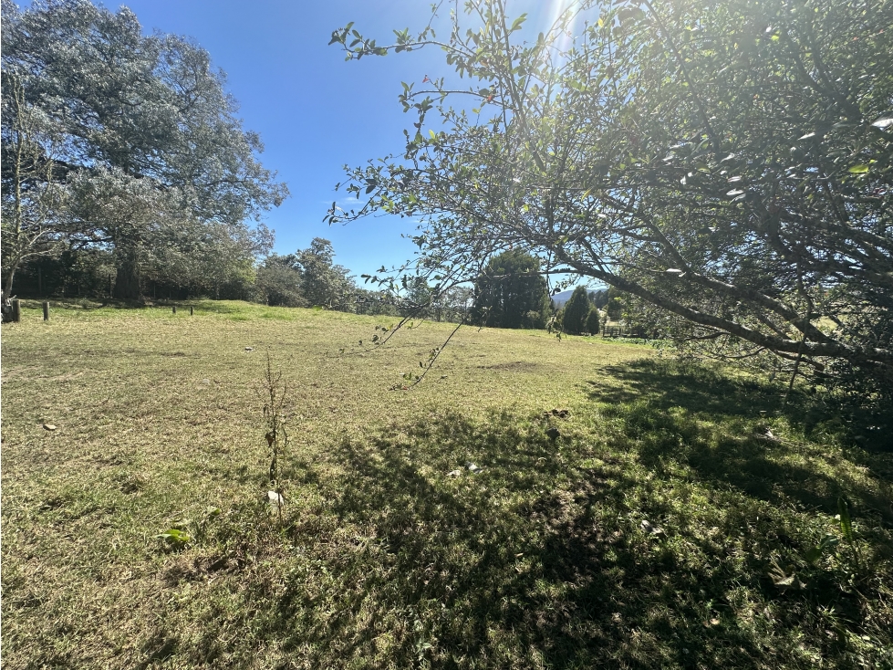 Venta de lote en el Alto de las Palmas Envigado — foto 3