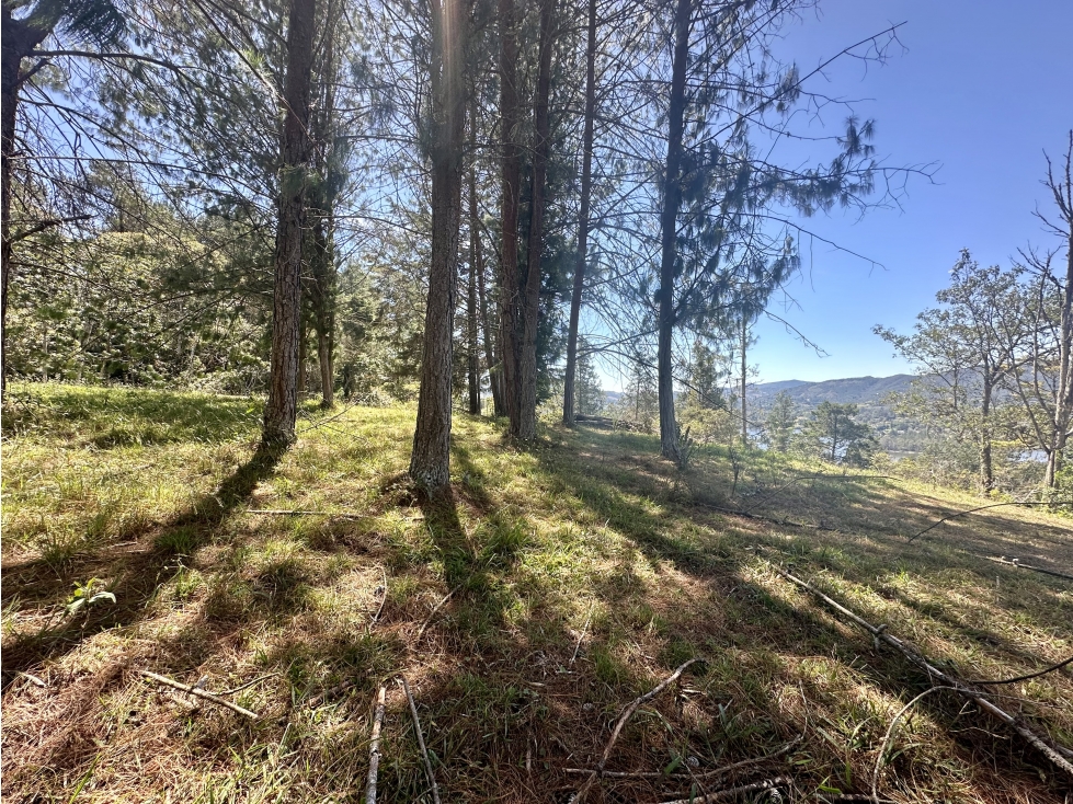Venta de Lote en Fizebad en el Retiro — foto 5