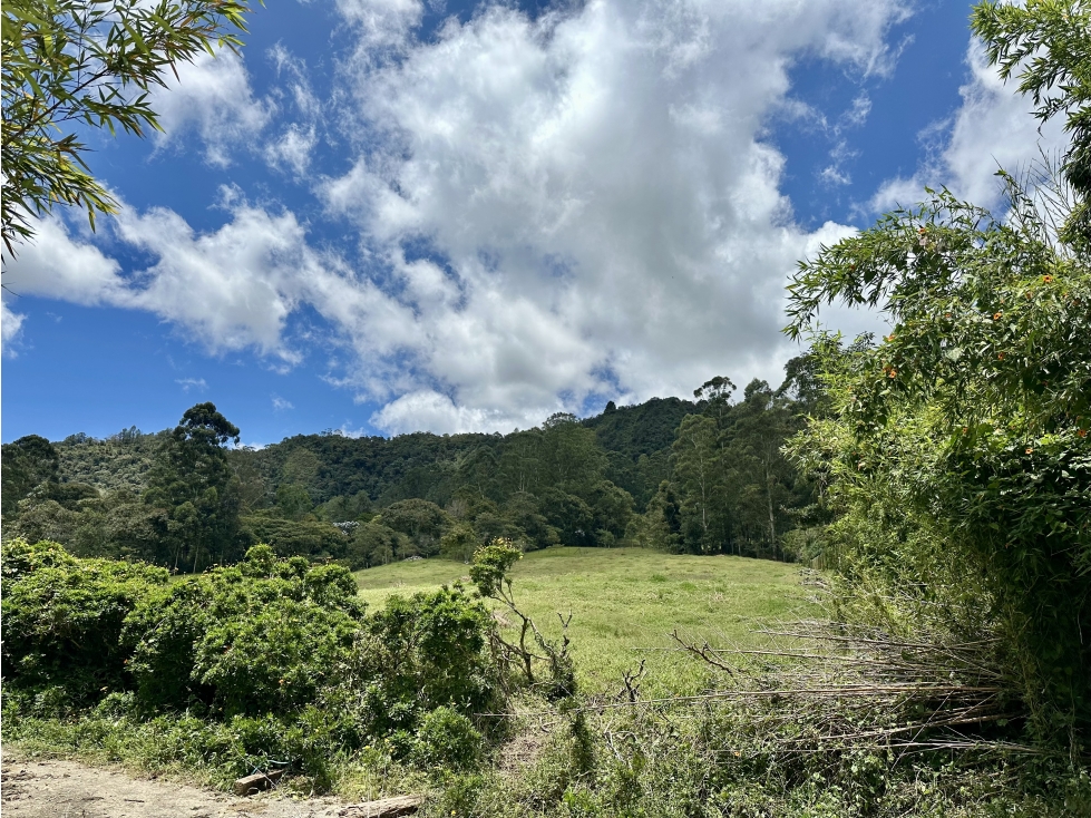 Venta De Lote En Rionegro Don Diego LLanogrande