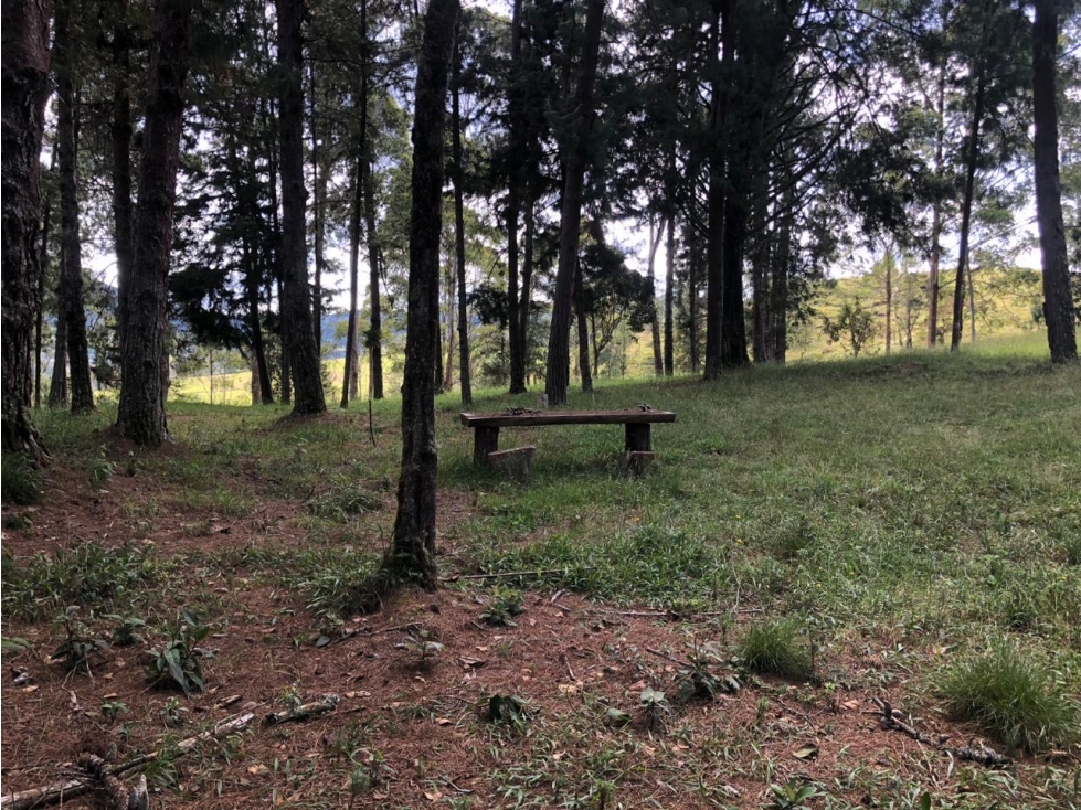 Venta de Lote en El Alto de las Palmas Variante Aeropuerto — foto 2