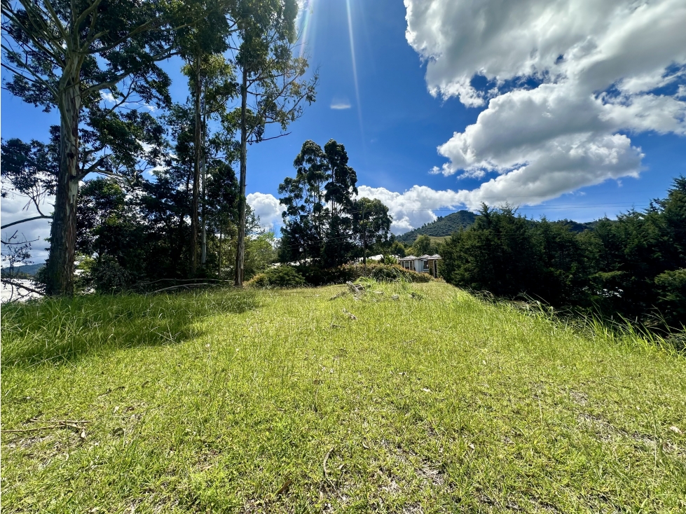 Venta De Lote En La Ceja Via San Antonio La Ceja — foto 3