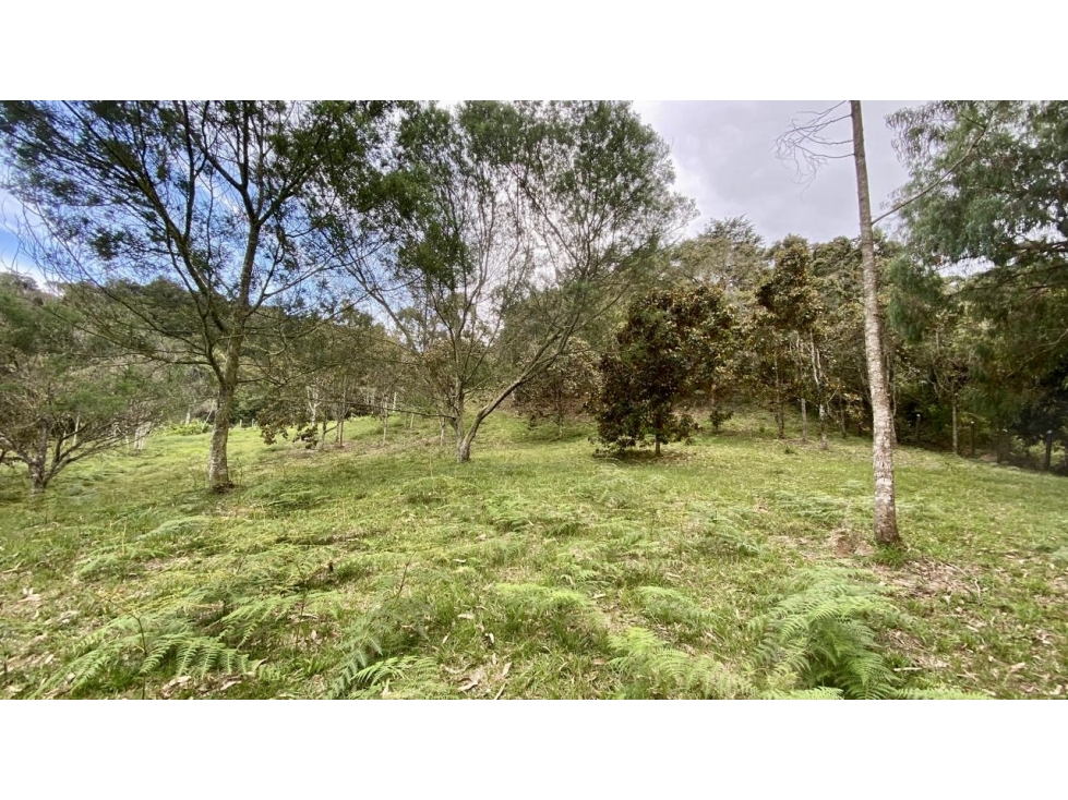 Venta de Lote En Rionegro Pontezuela — foto 5
