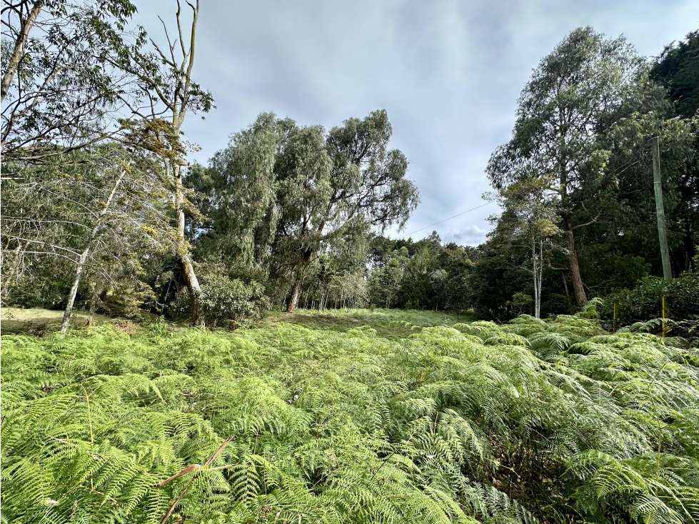 Venta De Lote En Rionegro Barahonda — foto 2