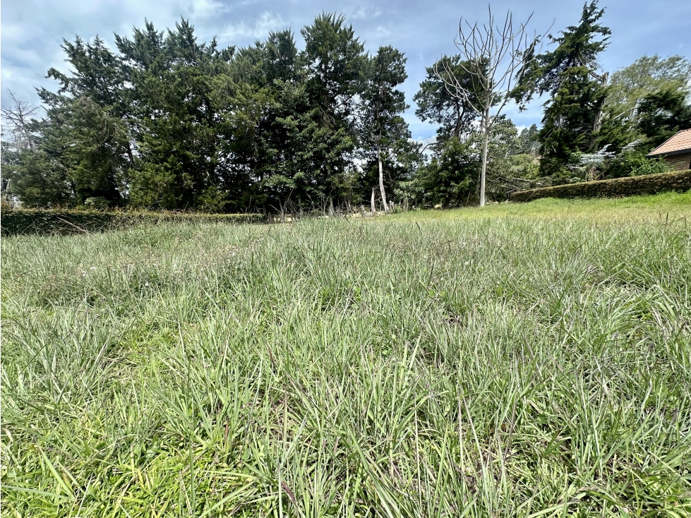 Venta De Lote En La Ceja - 3