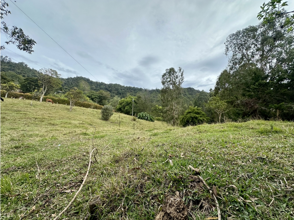 Venta de Lote En El Retiro Sector Eafit - 3
