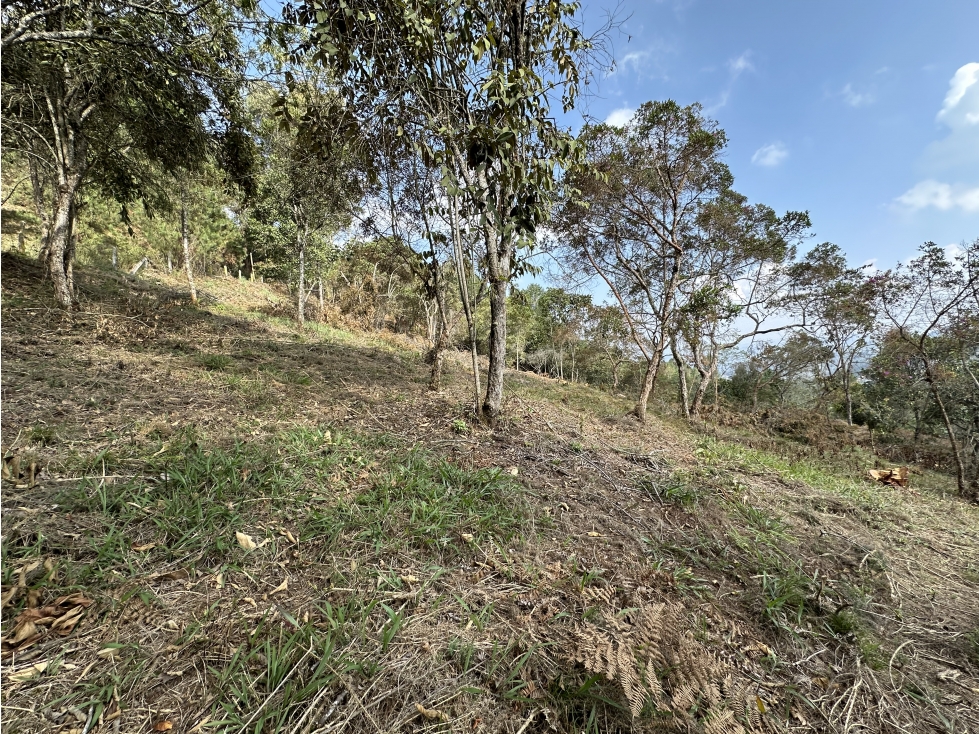 Venta de Lote en Las Palmas El Retiro — foto 4