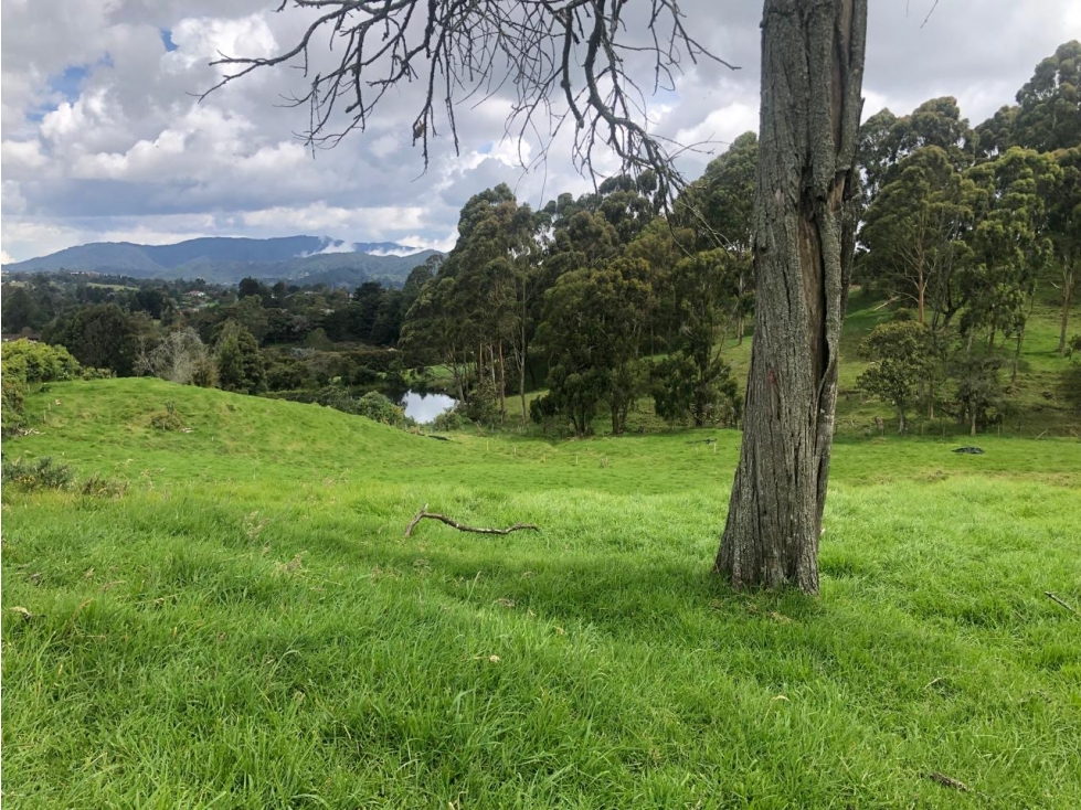 Venta De Lote Alto de Las Palmas Sector La Acuarela — foto 2