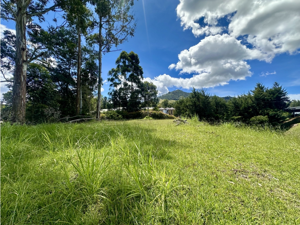 Venta De Lote En La Ceja Via San Antonio La Ceja — foto 4