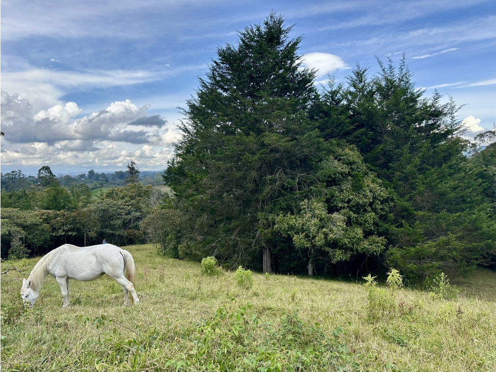 Venta De Lote En Rionegro Pontezuela