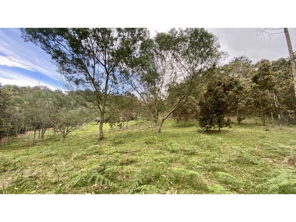 Venta de Lote En Rionegro Pontezuela — foto 6