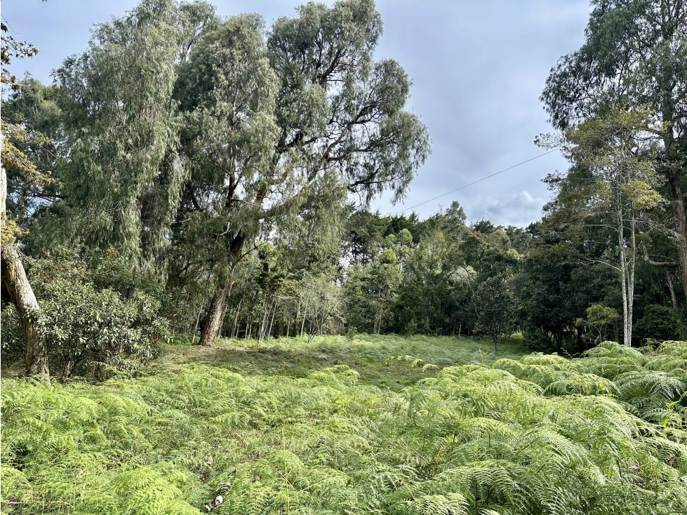 Venta De Lote En Rionegro Barahonda — foto 5