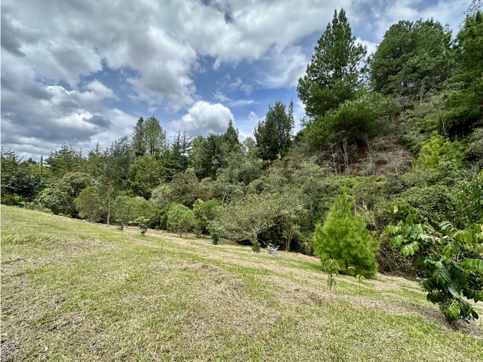Venta De Lote En El Retiro Pantanillo - 4