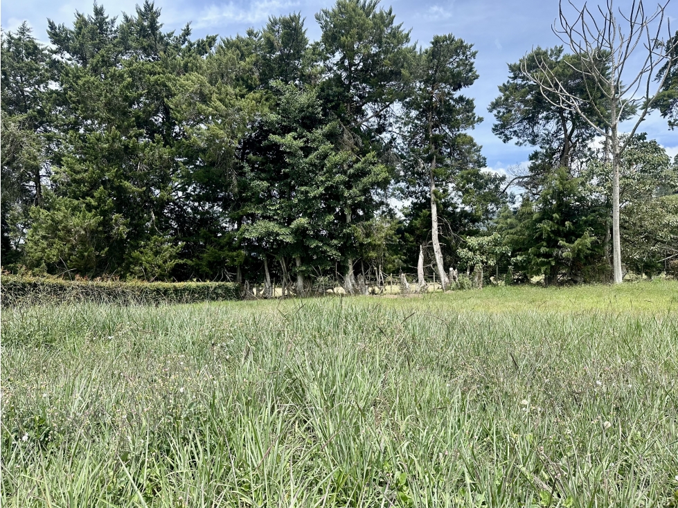 Venta De Lote En La Ceja - 4