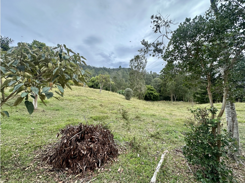 Venta de Lote En El Retiro Sector Eafit - 4