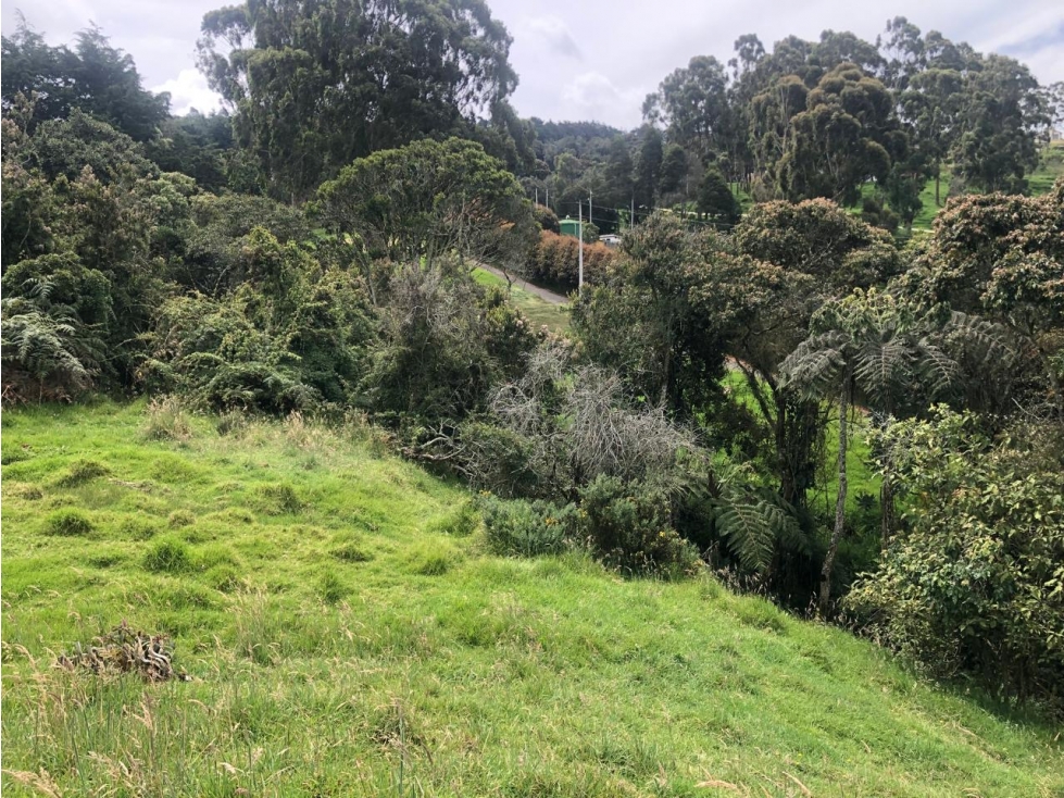 Venta De Lote Alto de Las Palmas Sector La Acuarela — foto 4