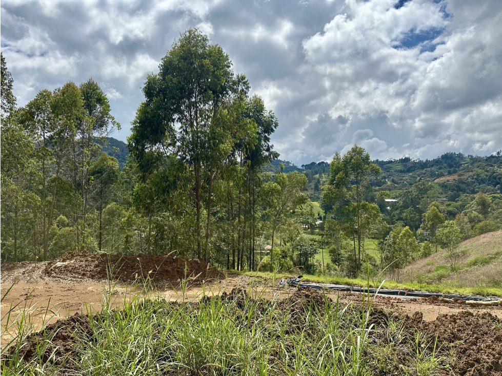 Venta Del Lote En El Retiro Via Don Diego LLanogrande — foto 5