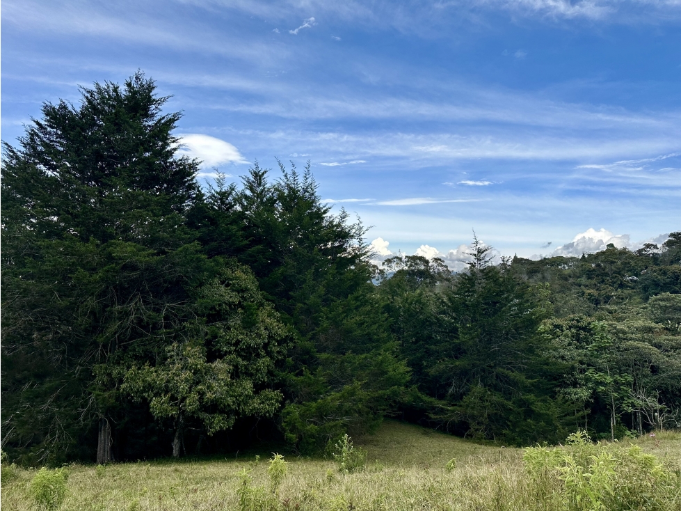 Venta De Lote En Rionegro Pontezuela — foto 2