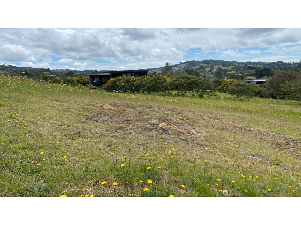 Venta de Lote en el Alto de las Palmas — foto 3