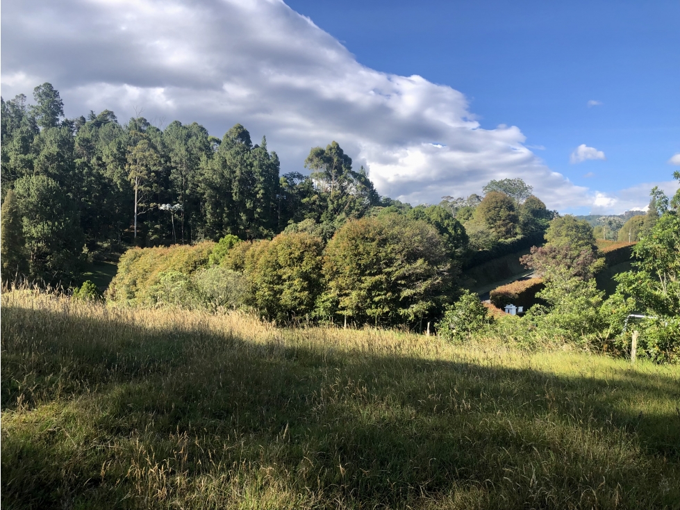 Venta de lote en el Alto de las Palmas Envigado - 3