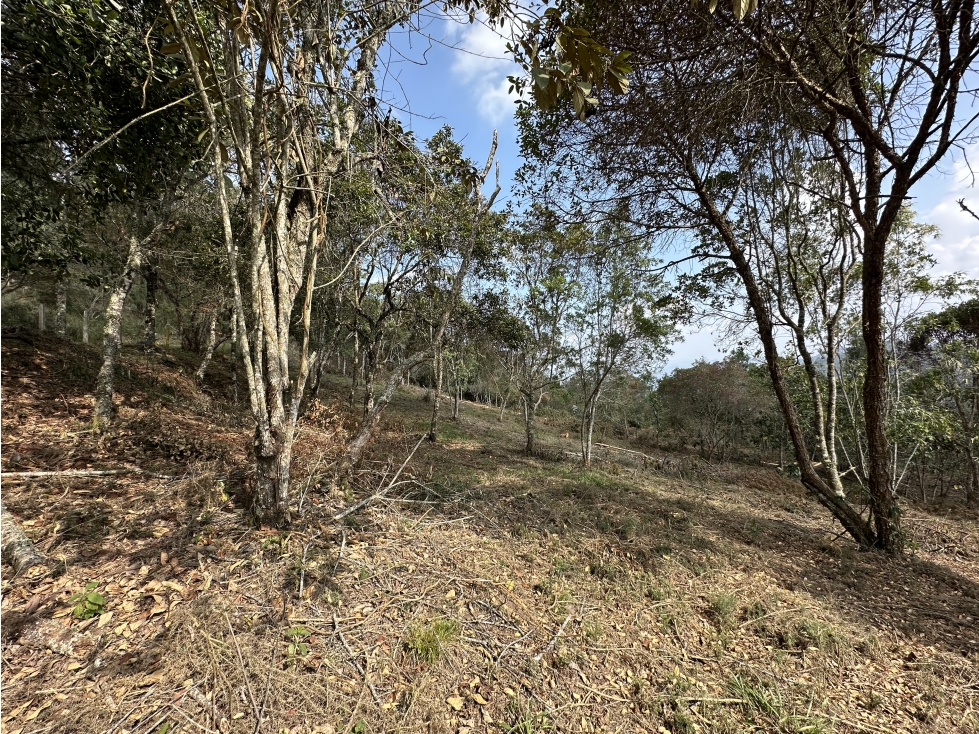 Venta de Lote en Las Palmas El Retiro — foto 6