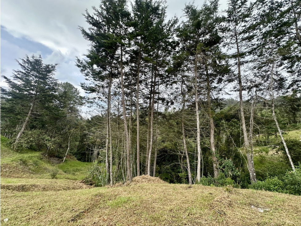 Venta De Lote En El Retiro Via Don Diego - La Ceja — foto 6