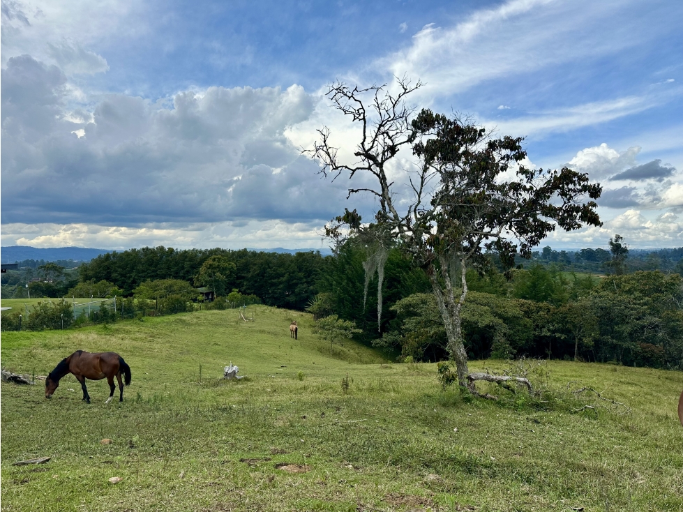Venta De Lote En Rionegro Pontezuela — foto 3