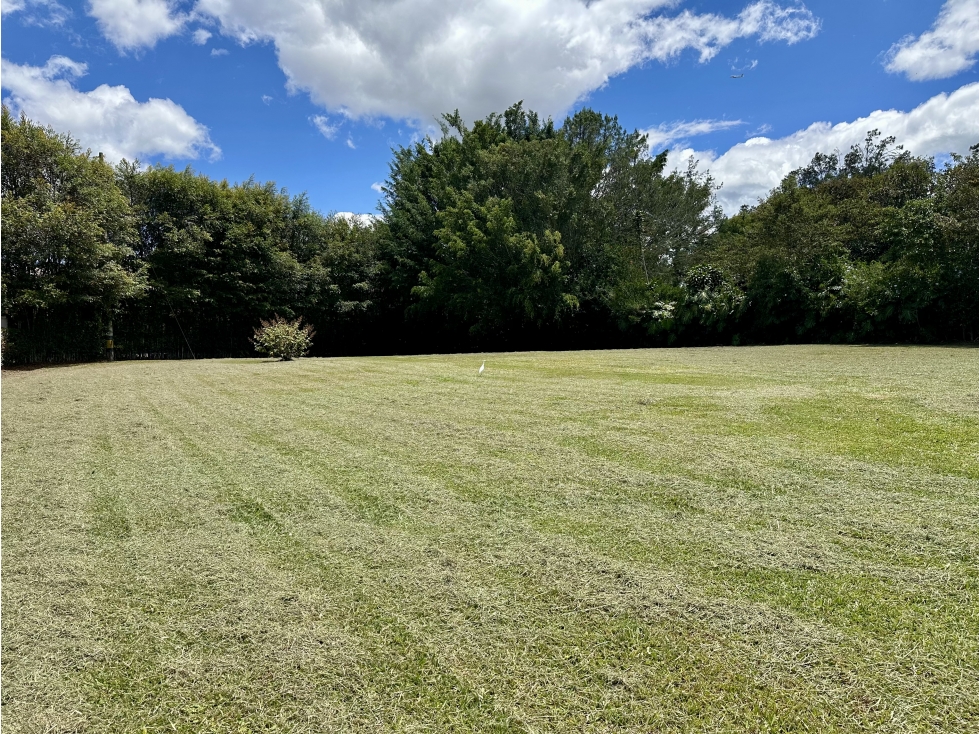 Venta De Lote En Rionegro Llanogrande — foto 2