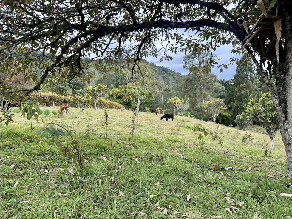 Venta de Lote En El Retiro Sector Eafit - 6