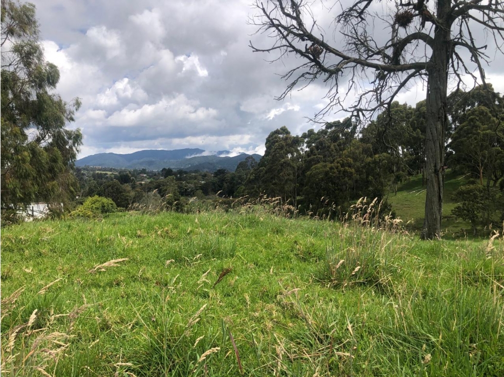Venta De Lote Alto de Las Palmas Sector La Acuarela — foto 6