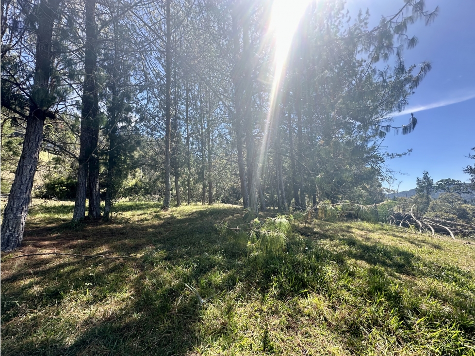 Venta de Lote en Fizebad en el Retiro — foto 2