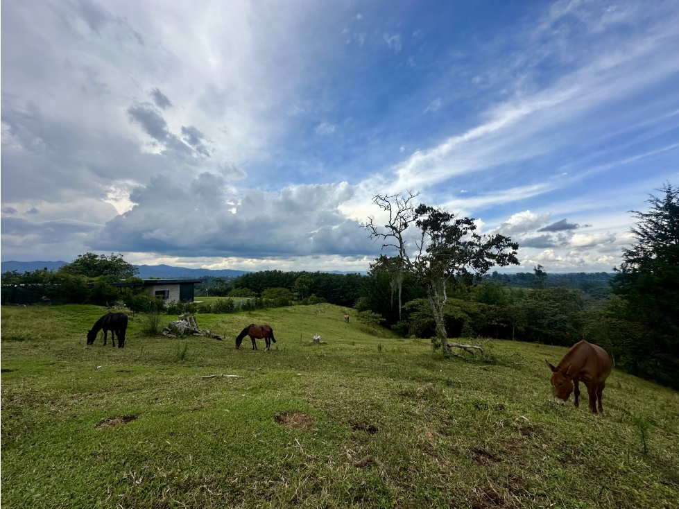 Venta De Lote En Rionegro Pontezuela — foto 5