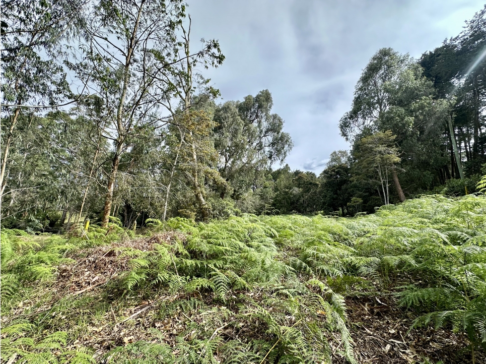 Venta De Lote En Rionegro Barahonda