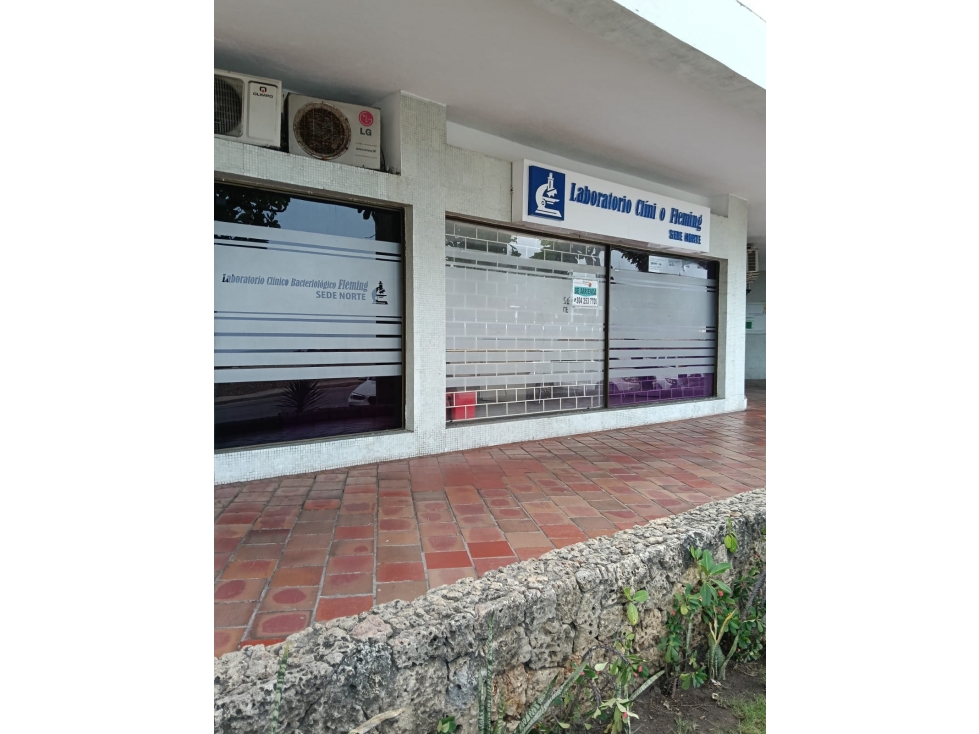Arriendo Local En Bocagrande