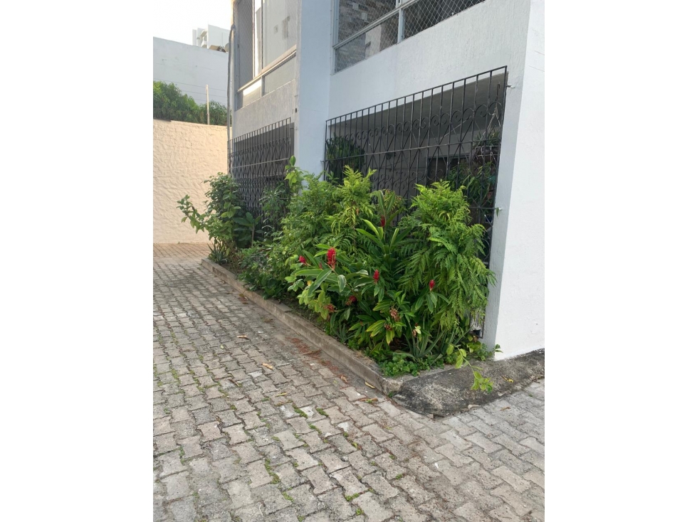 Vendo Apartamento En Crespo