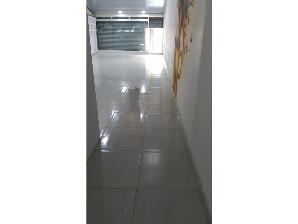 Arriendo Local En La Concepción