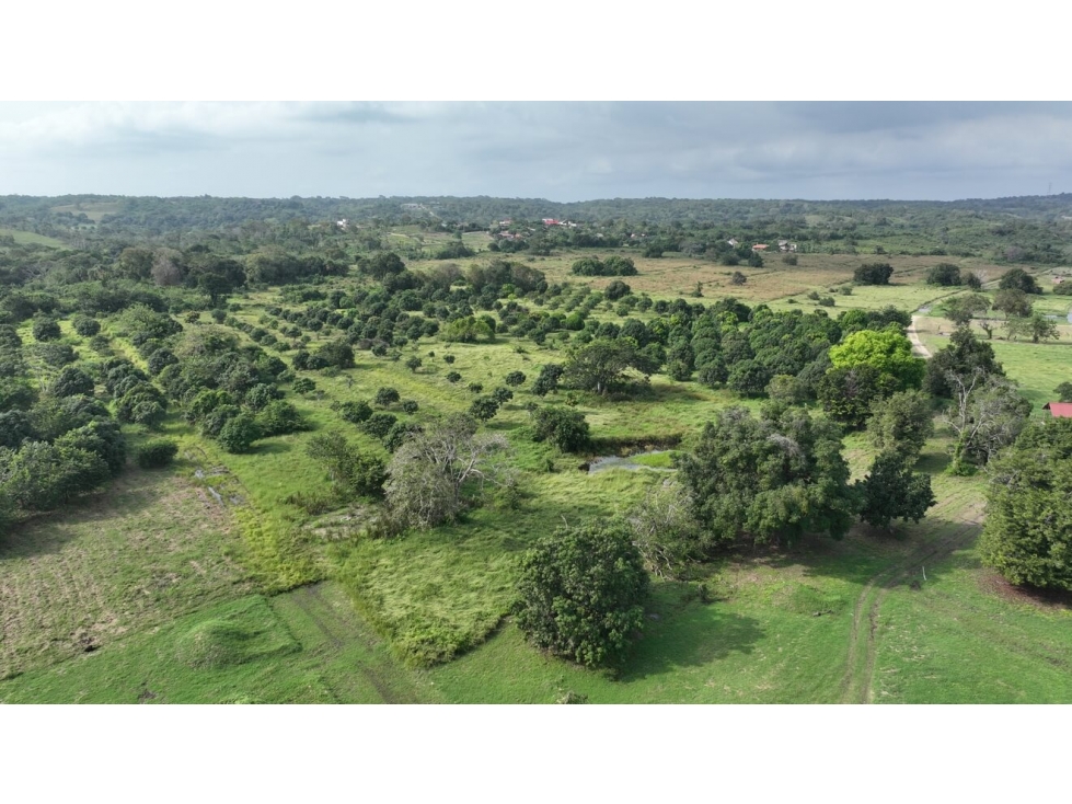 Vendo Lotes En Turbaco — foto 4