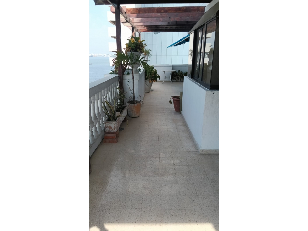 Arriendo Apartamento En Bocagrande