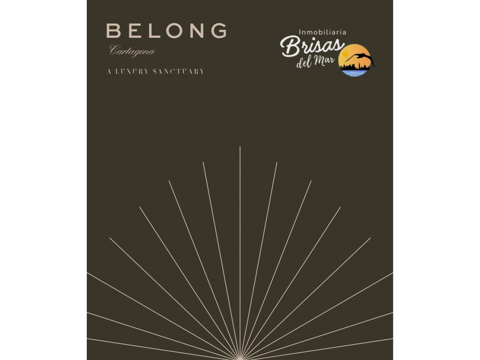 PROYECTO BELONG BOCAGRANDE CARTAGENA - COLOMBIA — foto 4