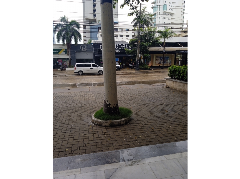 ARRIENDO LOCAL EN BOCAGRANDE — foto 5